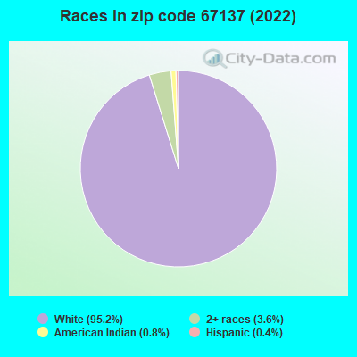 Races in zip code 67137 (2021)