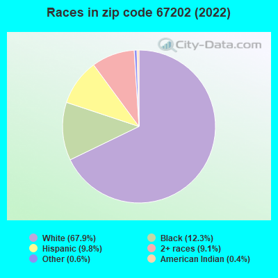 Races in zip code 67202 (2019)