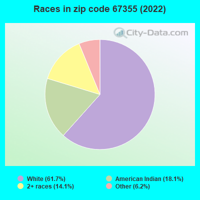 Races in zip code 67355 (2019)