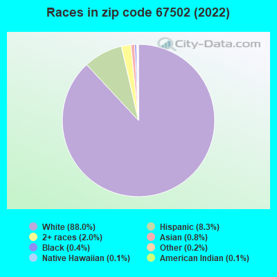 Races in zip code 67502 (2021)