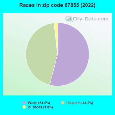 Races in zip code 67855 (2019)
