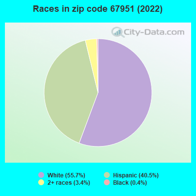 Races in zip code 67951 (2019)