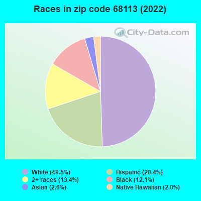 Races in zip code 68113 (2022)
