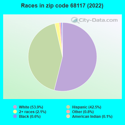 Races in zip code 68117 (2021)