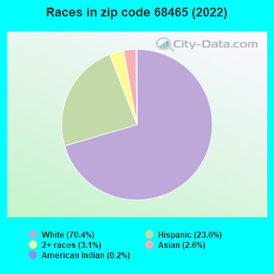 Races in zip code 68465 (2019)