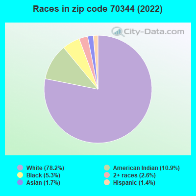 Races in zip code 70344 (2019)