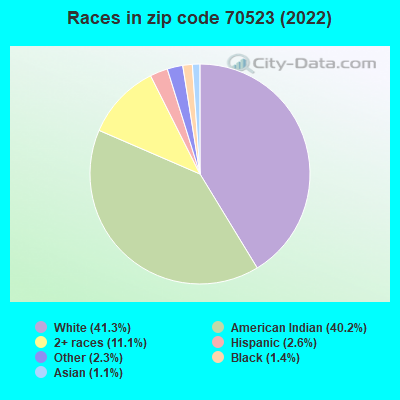 Races in zip code 70523 (2019)