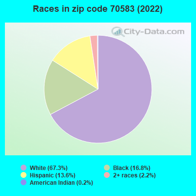 Races in zip code 70583 (2019)