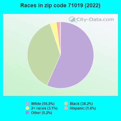Races in zip code 71019 (2021)
