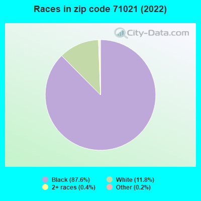 Races in zip code 71021 (2022)