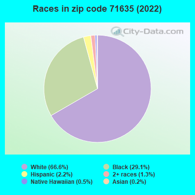 Races in zip code 71635 (2022)