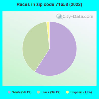 Races in zip code 71658 (2019)