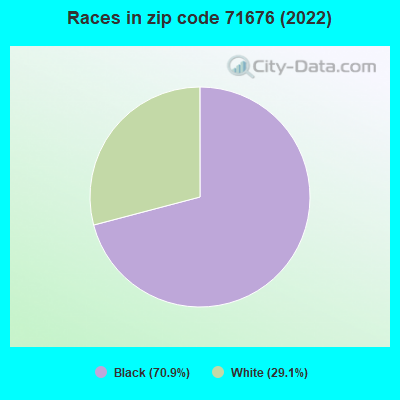 Races in zip code 71676 (2022)