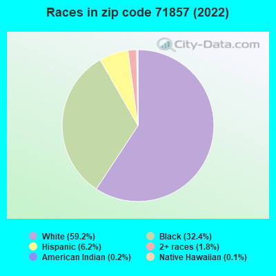 Races in zip code 71857 (2019)