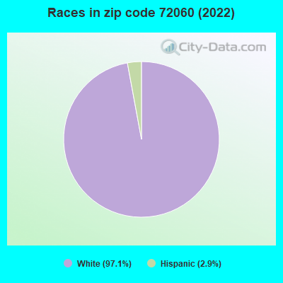 Races in zip code 72060 (2019)