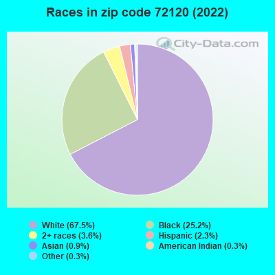 Races in zip code 72120 (2021)