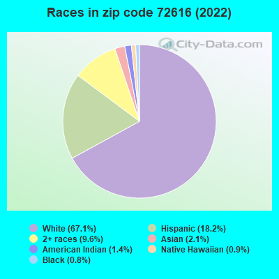 Races in zip code 72616 (2019)