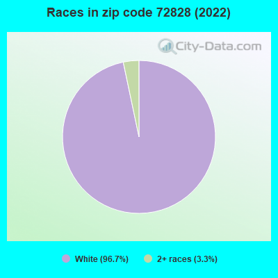 Races in zip code 72828 (2022)