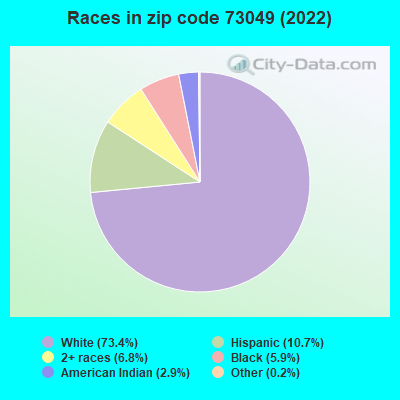 Races in zip code 73049 (2019)
