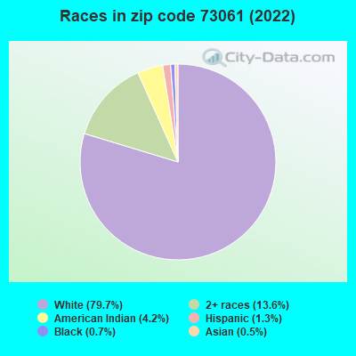 Races in zip code 73061 (2022)