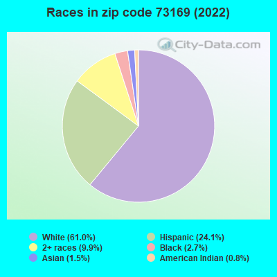 Races in zip code 73169 (2019)