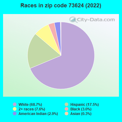 Races in zip code 73624 (2019)