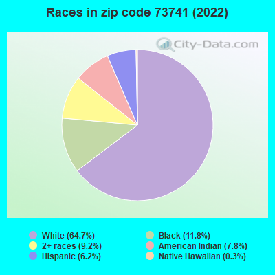 Races in zip code 73741 (2022)