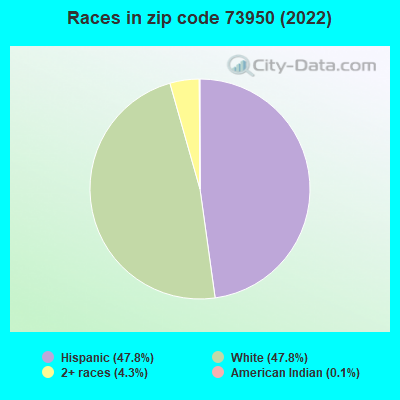 Races in zip code 73950 (2019)