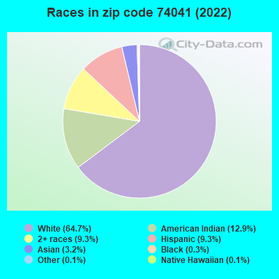 Races in zip code 74041 (2019)