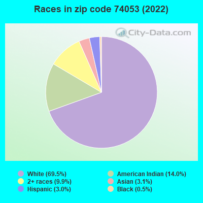Races in zip code 74053 (2019)