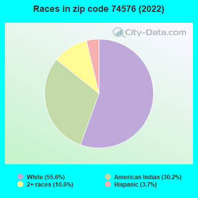 Races in zip code 74576 (2022)