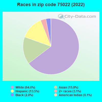 Races in zip code 75022 (2022)