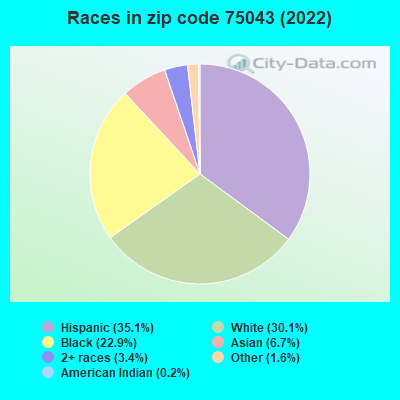 Races in zip code 75043 (2021)