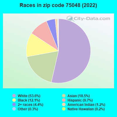 Races in zip code 75048 (2022)