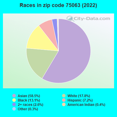 Races in zip code 75063 (2021)