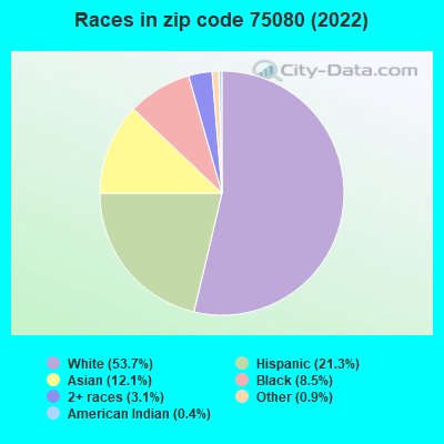 Races in zip code 75080 (2019)