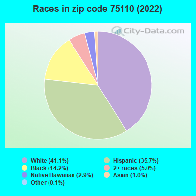 Races in zip code 75110 (2019)