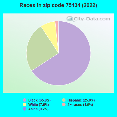 Races in zip code 75134 (2021)
