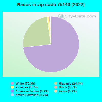 Races in zip code 75140 (2021)