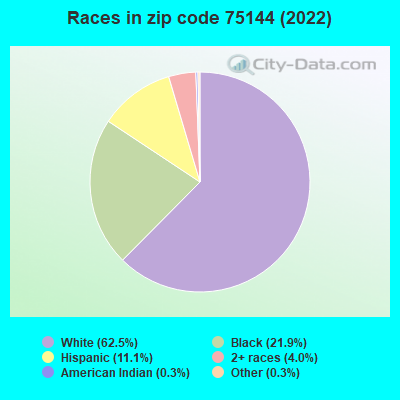 Races in zip code 75144 (2019)