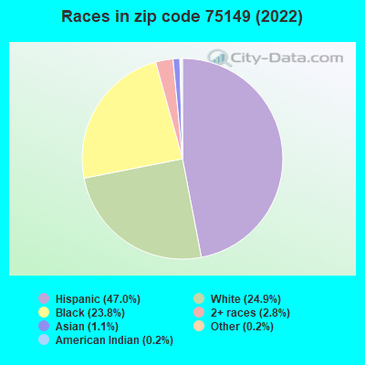 Races in zip code 75149 (2019)