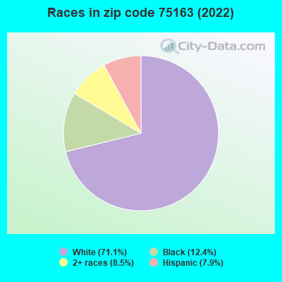 Races in zip code 75163 (2022)