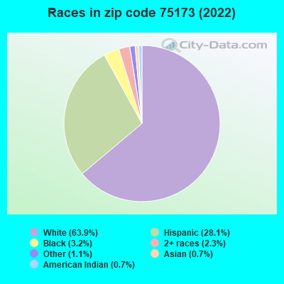 Races in zip code 75173 (2019)