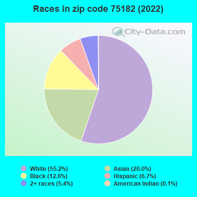 Races in zip code 75182 (2022)