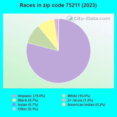 Races in zip code 75211 (2019)