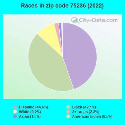 Races in zip code 75236 (2022)