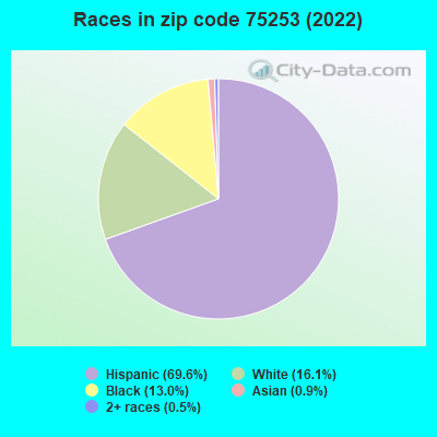 Races in zip code 75253 (2019)
