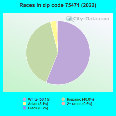 Races in zip code 75471 (2022)