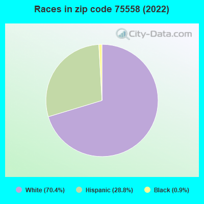 Races in zip code 75558 (2019)