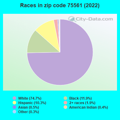 Races in zip code 75561 (2019)